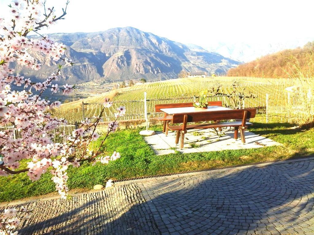 Landhaus Weingut Cornaiano Exterior photo