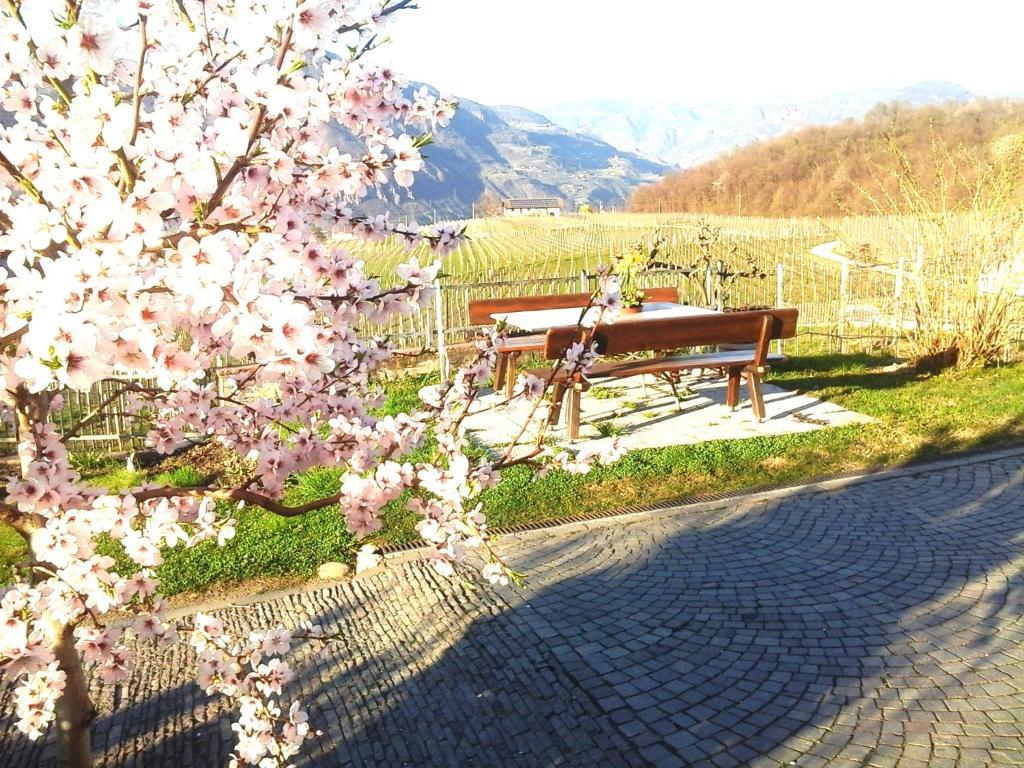 Landhaus Weingut Cornaiano Exterior photo